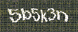 CAPTCHA_picture