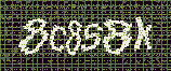CAPTCHA_picture