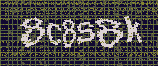 CAPTCHA_picture