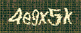 CAPTCHA_picture